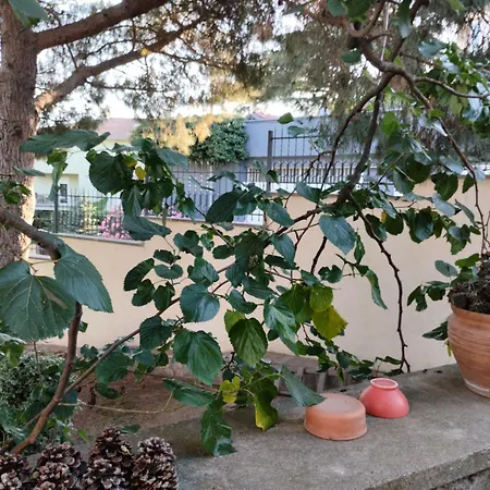 Dragos 5 4 Baths Pines Sea Views, Pool Quiet And Stunning