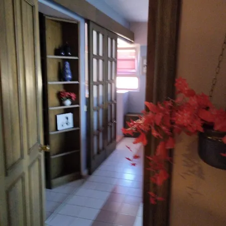 וילה Dragos 5 4 Baths Pines Sea Views, Pool Quiet And Stunning איסטמבול